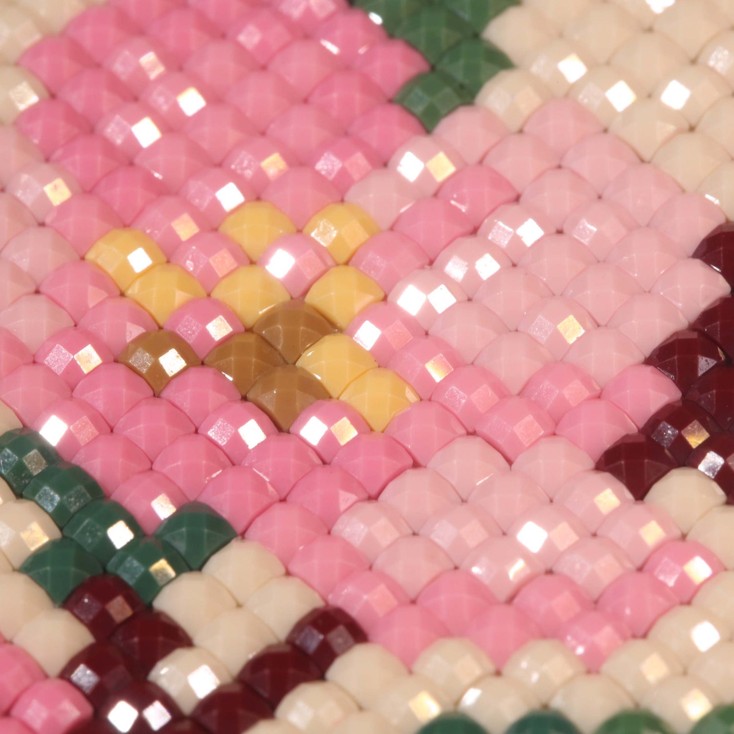 Minigem® :Spring Slumber of Begonia