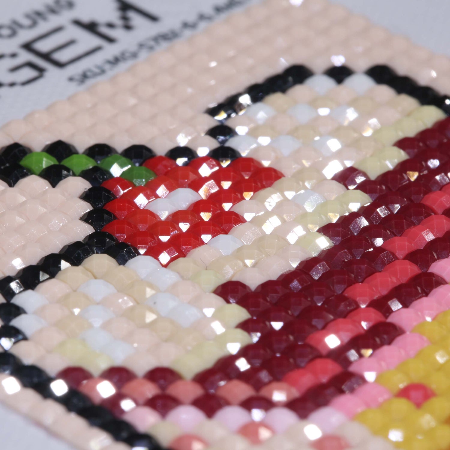 Minigem® :Cherry Chocolate Desserts