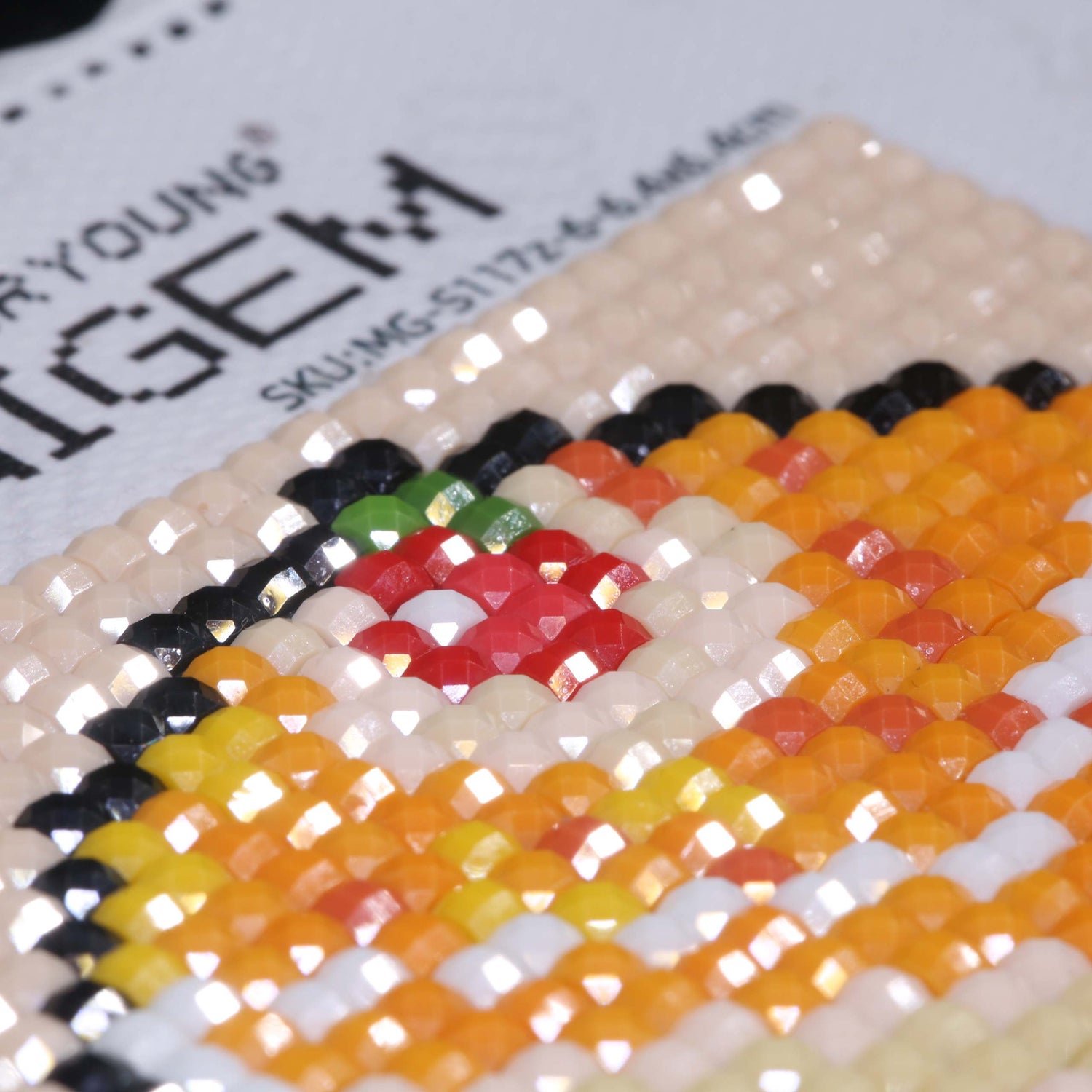 Minigem® :Mango Desserts