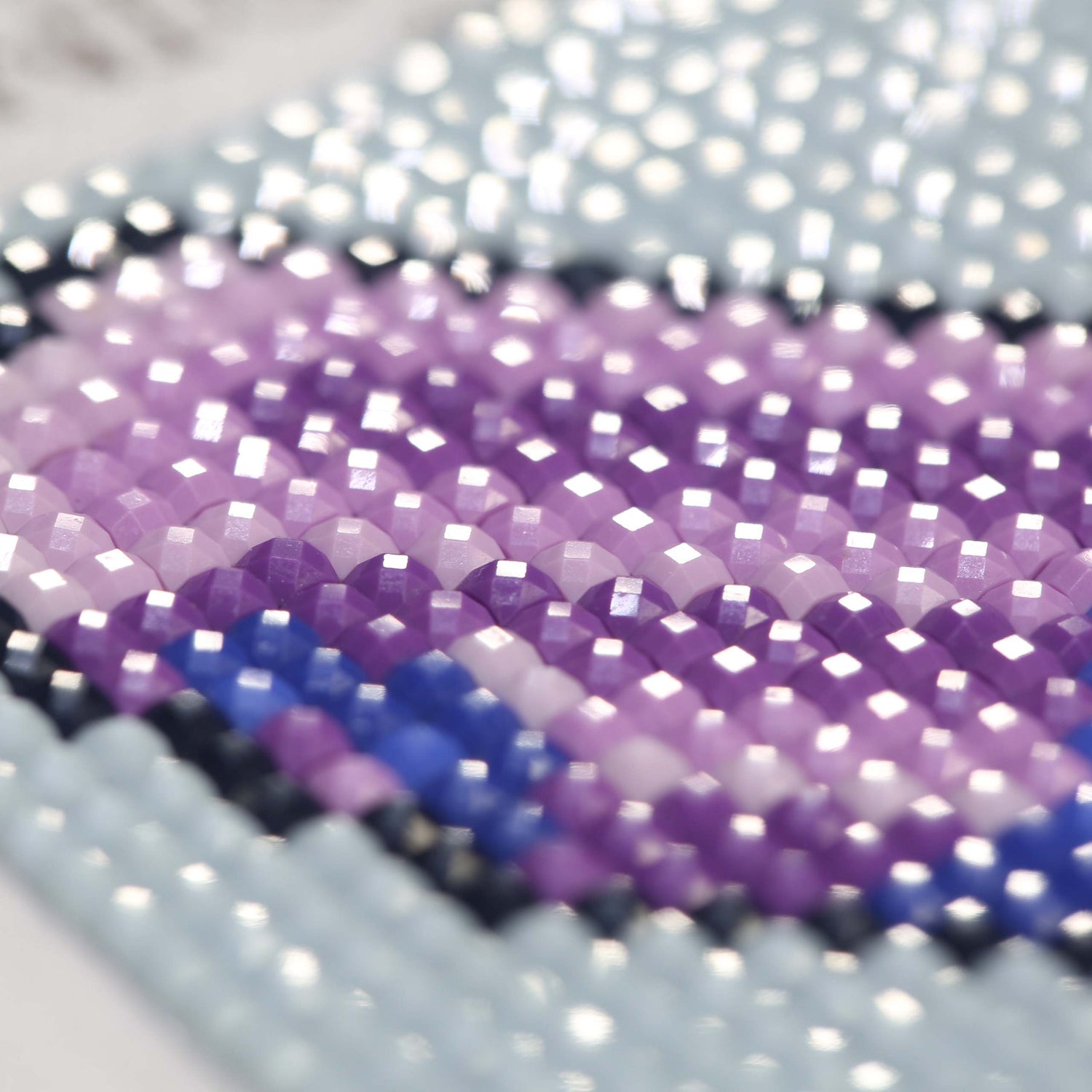 Minigem® :Blueberry Desserts