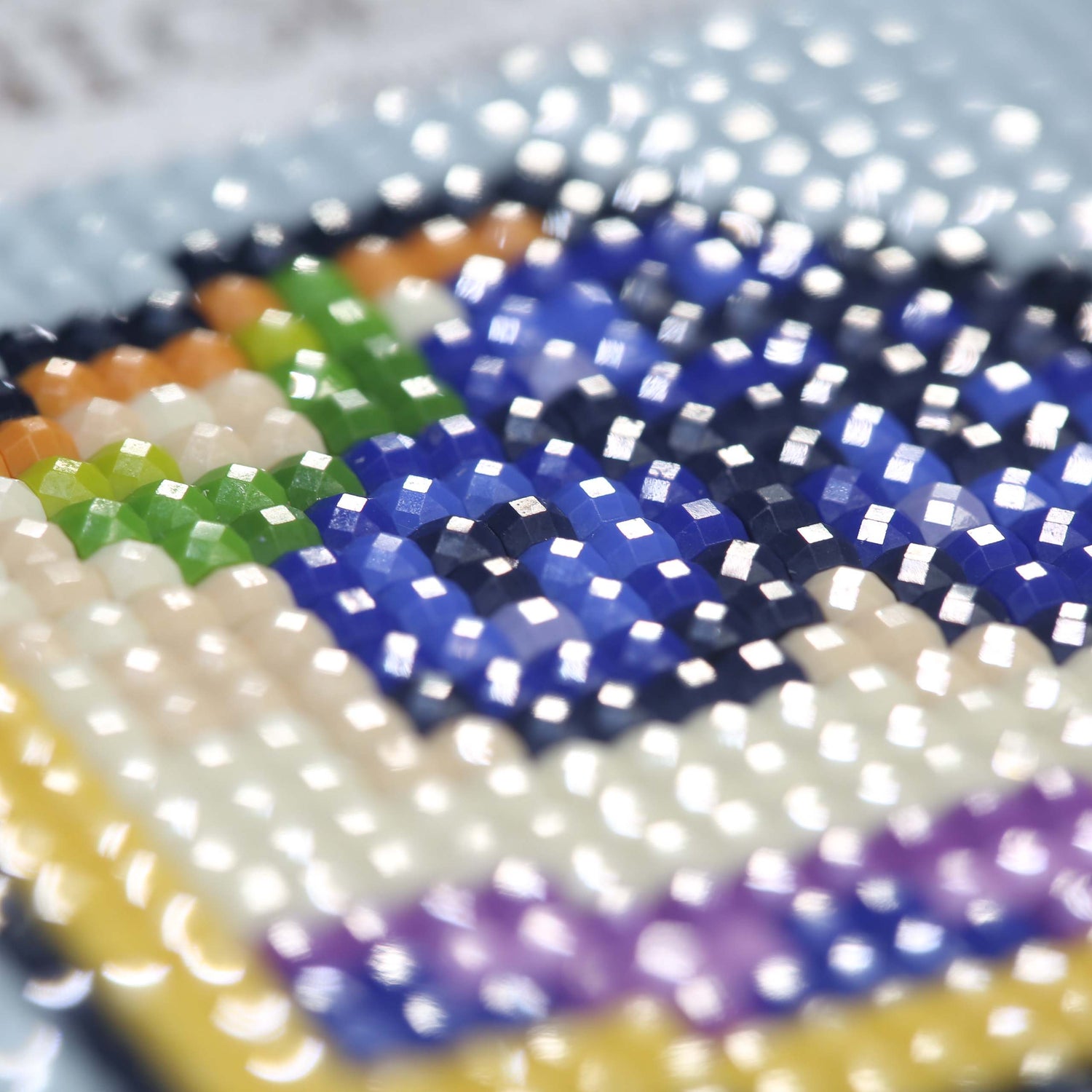 Minigem® :Blueberry Desserts