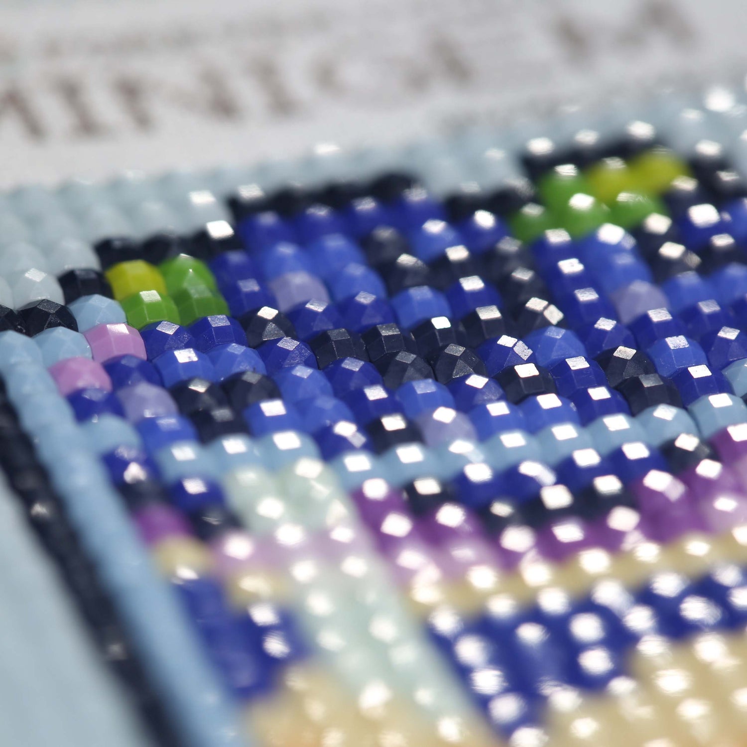 Minigem® :Blueberry Desserts