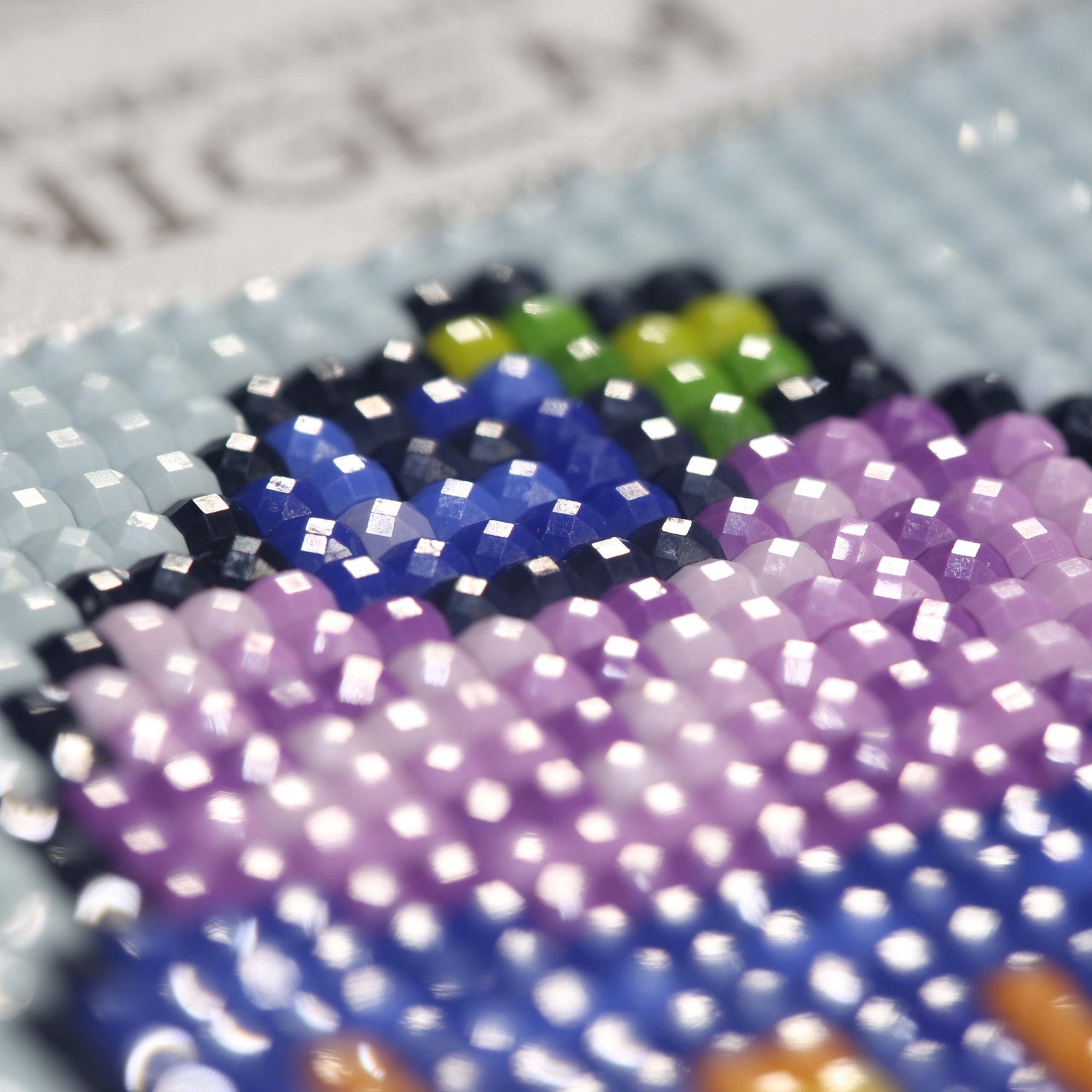 Minigem® :Blueberry Desserts