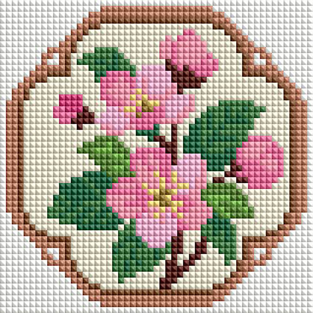 Minigem® :Spring Slumber of Begonia