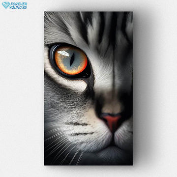 Oeil de chat