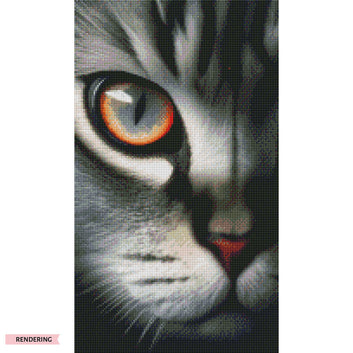 Eye of Cat
