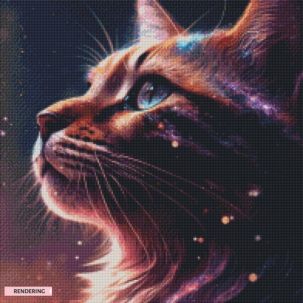 Light and Shadow Cat