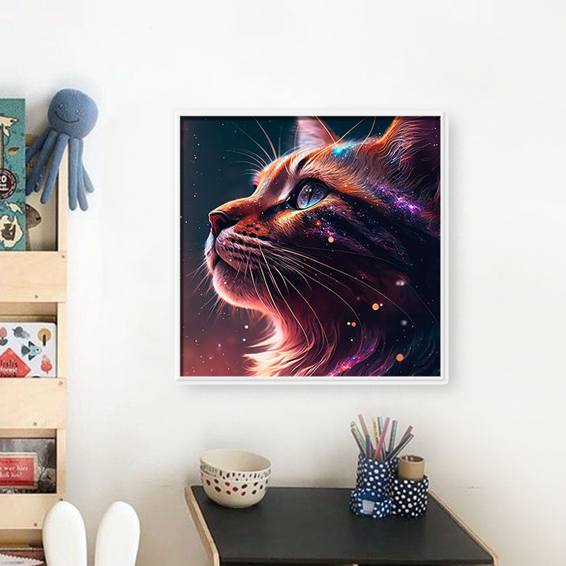 Licht und Schatten Katze