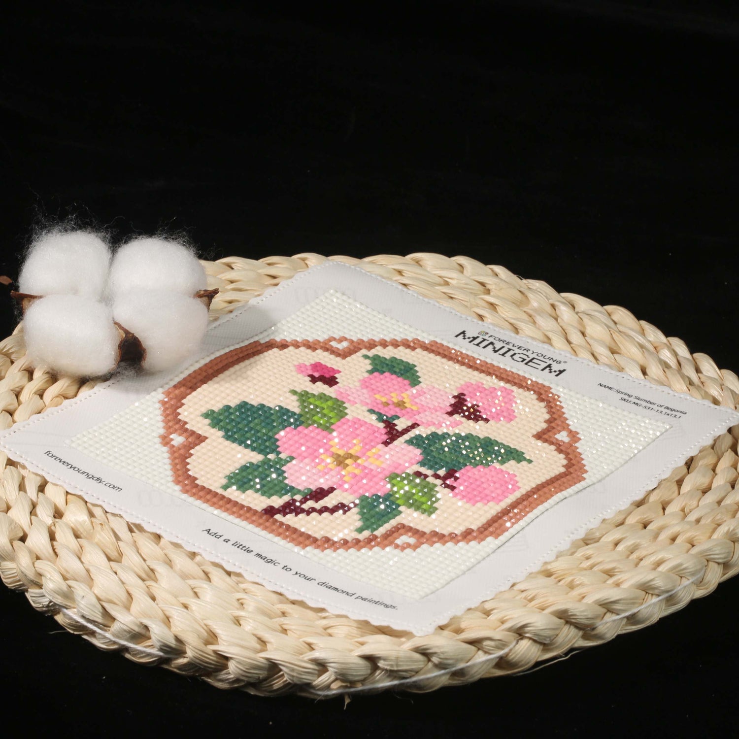 Minigem® :Spring Slumber of Begonia