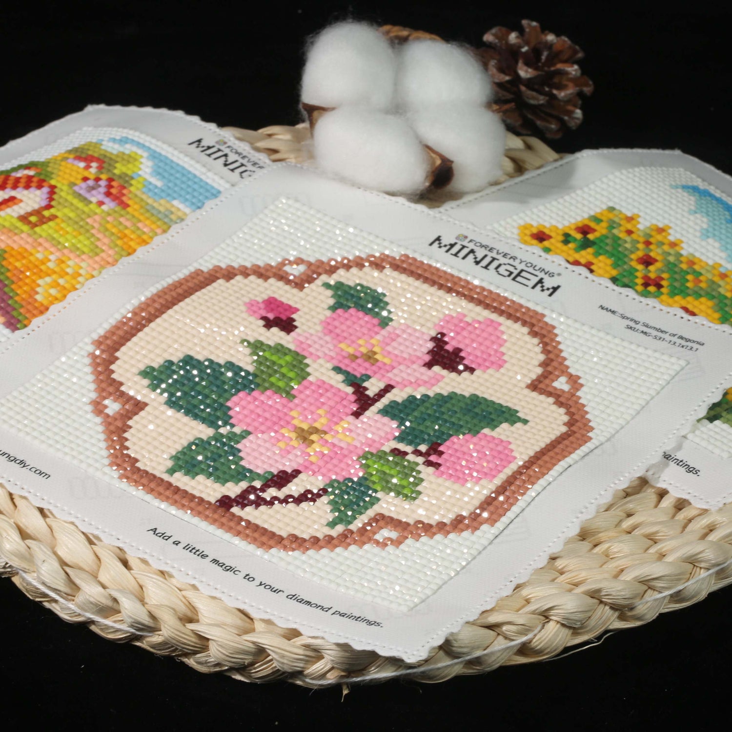 Minigem® :Spring Slumber of Begonia