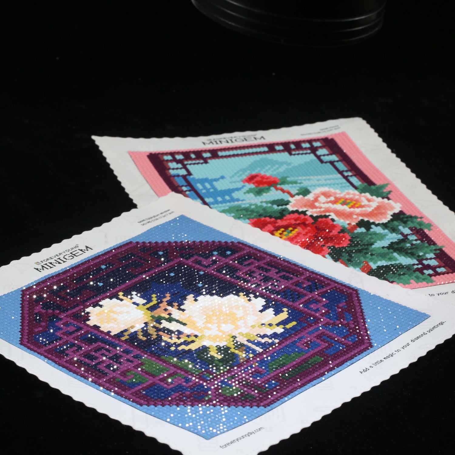 Minigem® :Epiphyllum Window