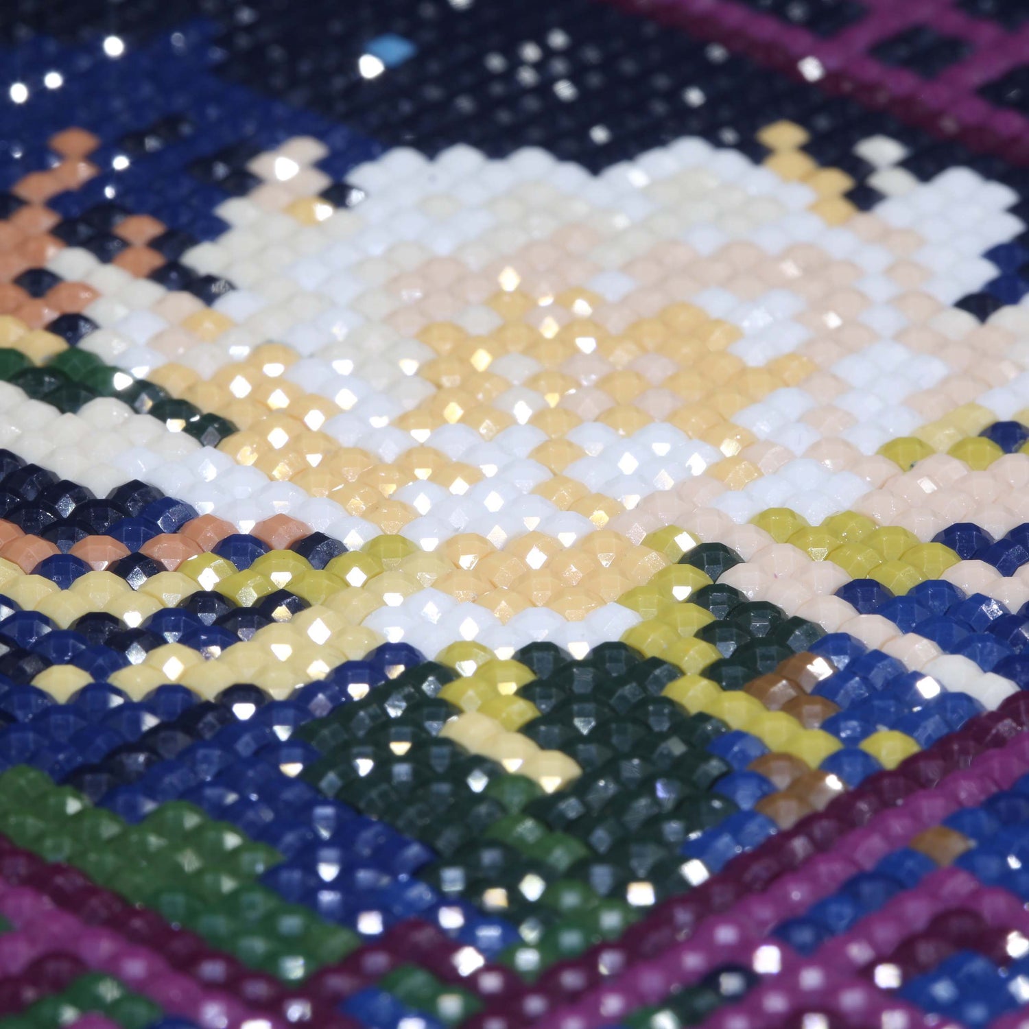 Minigem® :Epiphyllum Window