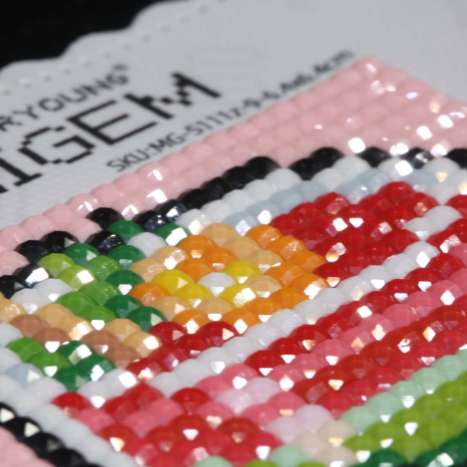 Minigem® :Watermelon Desserts