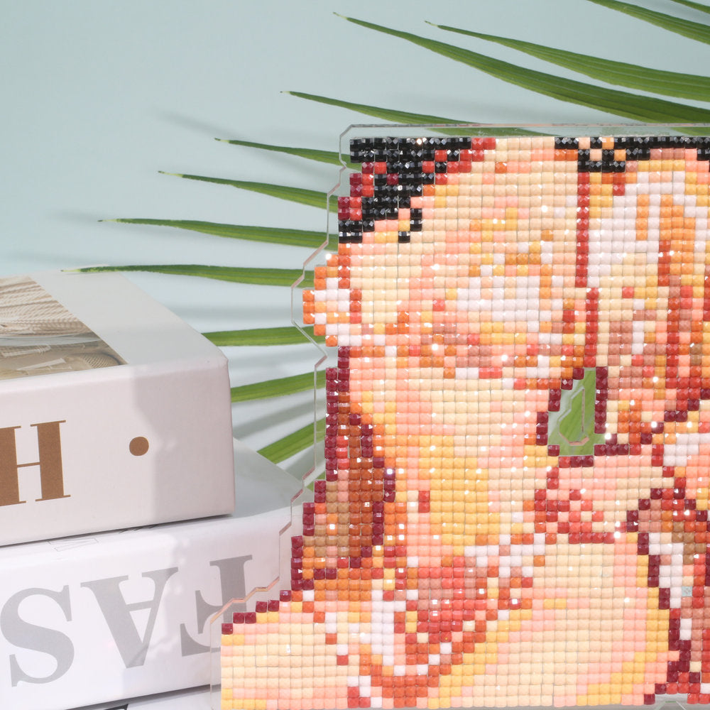 Stunning Lingerie Diamond Art Display Stand