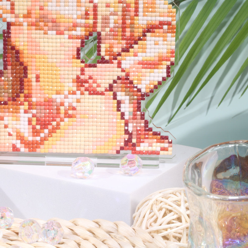 Stunning Lingerie Diamond Art Display Stand