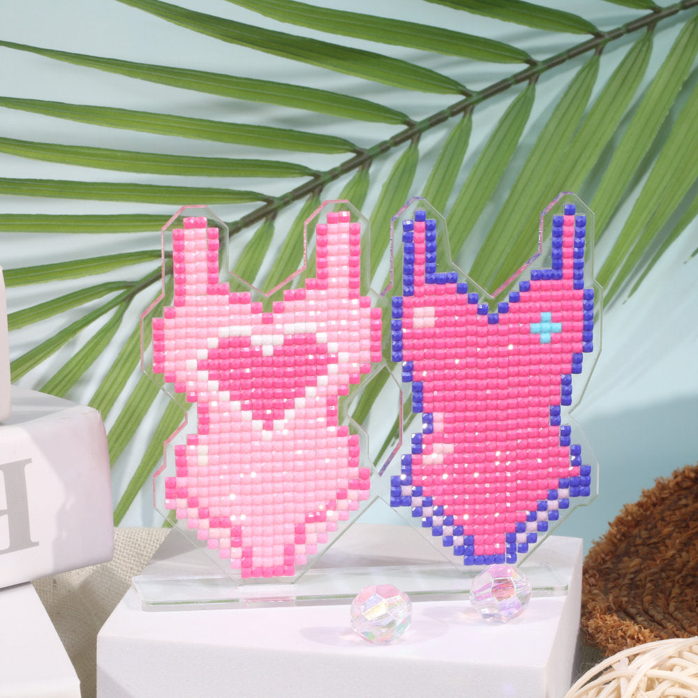 Bodysuit Duo Diamond Art Display Stand