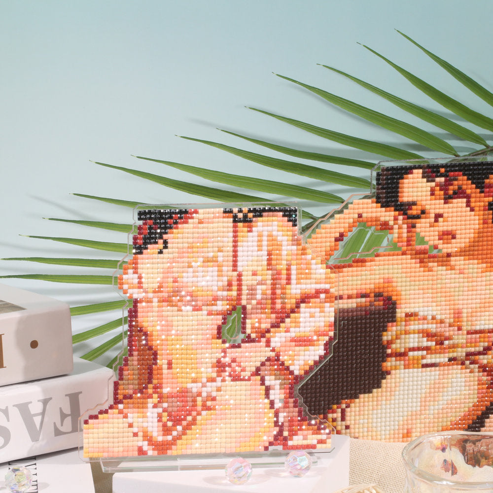 Stunning Lingerie Diamond Art Display Stand