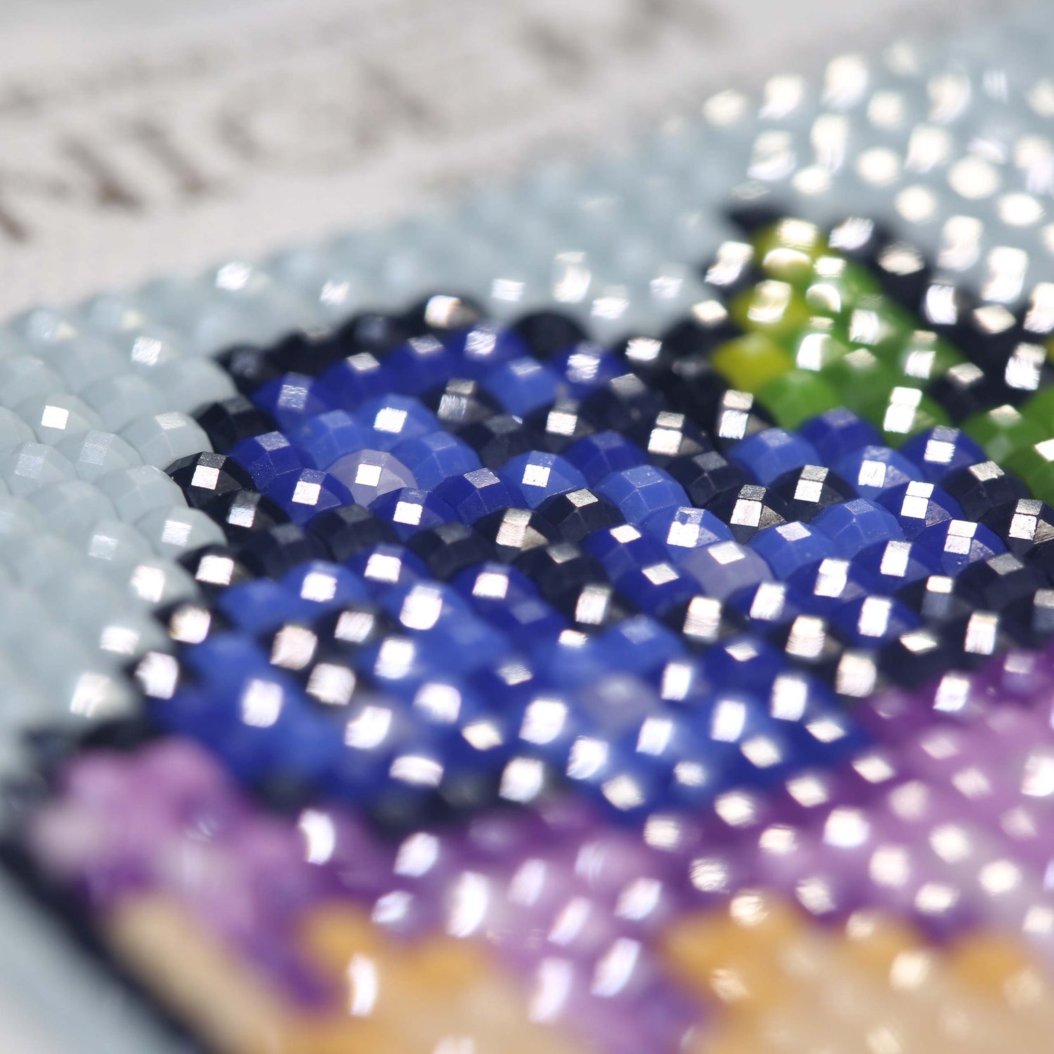 Minigem® :Blueberry Desserts