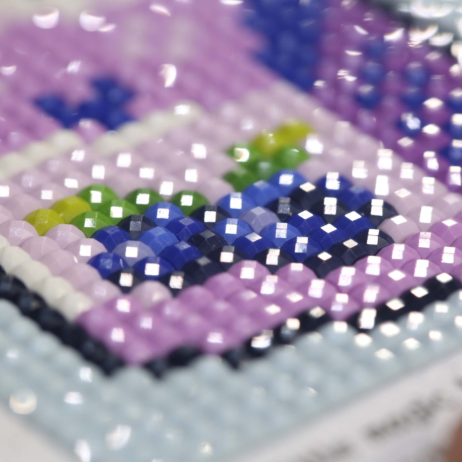 Minigem® :Blueberry Desserts