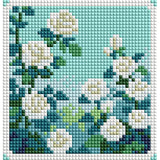 Minigem® :White Rose Garden