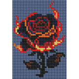 Minigem® :Scorching Night Rose