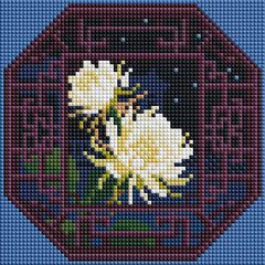Minigem® :Epiphyllum Window - Forever Young®️ DIY - 