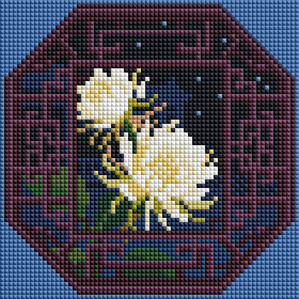Minigem® :Epiphyllum Window - Forever Young®️ DIY - 
