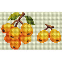 Minigem® :Loquat - Forever Young®️ DIY - 