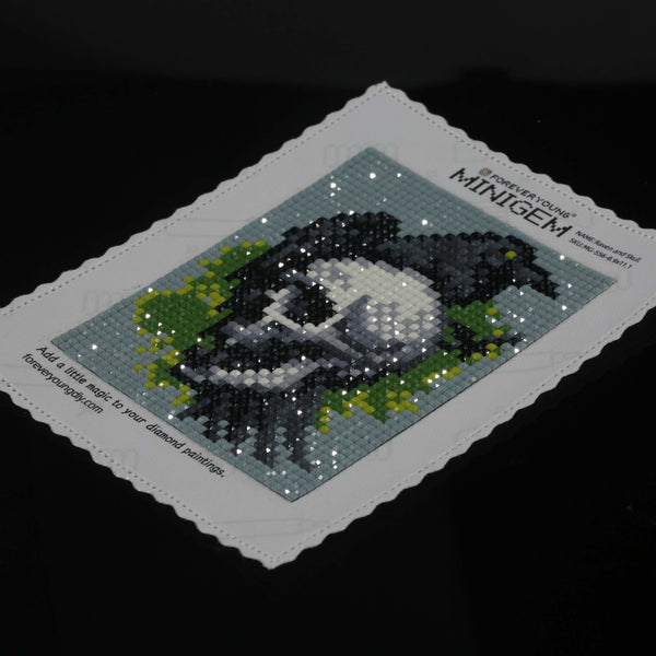 Minigem® :Raven and Skull