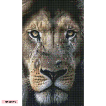 Gesicht des Löwen 