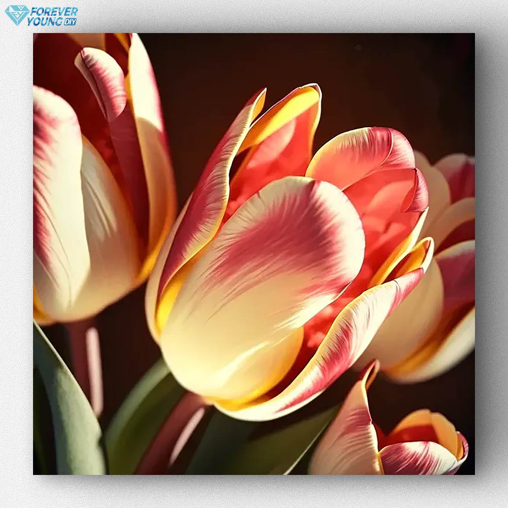 Tulpe 